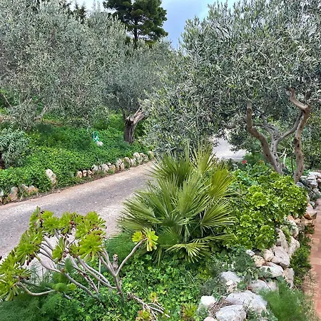 Casa vacanze Lally In The Sky Scopello (Sicily)